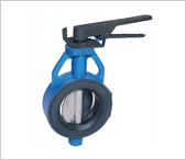 Butterfly Valves