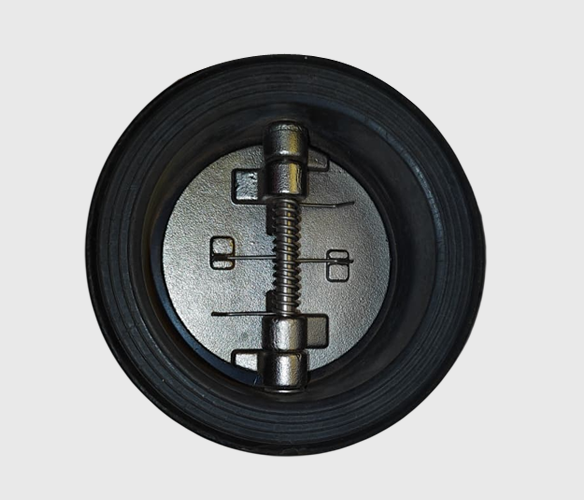Dual Plate Check Valve