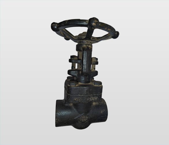 Forged Steel Globe Valves