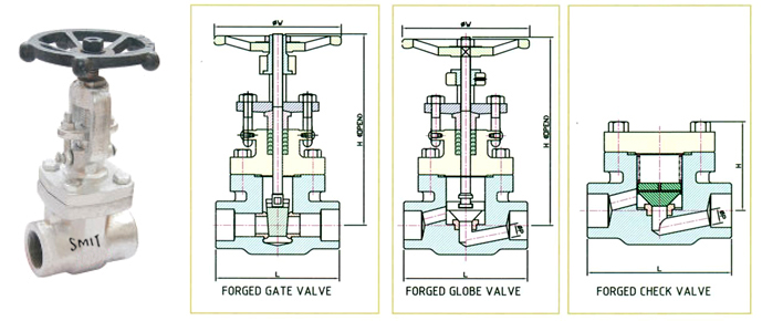 Forged Valves