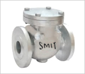 Swing Check Valve